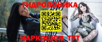дурь Гудермес