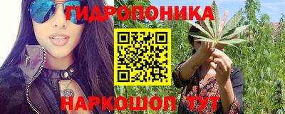 ГАЛЛЮЦИНОГЕННЫЕ ГРИБЫ Гуково