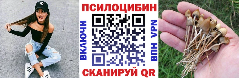 наркошоп  Большой Камень  Псилоцибиновые грибы прущие грибы 