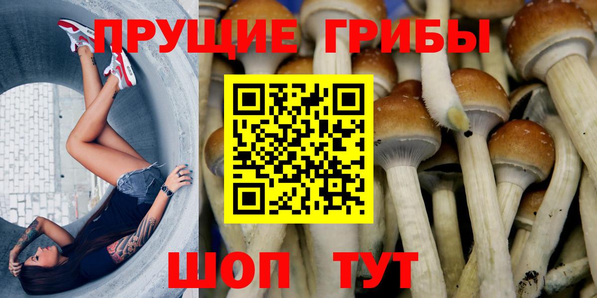 Галлюциногенные грибы MAGIC MUSHROOMS  Вход с VPN  Большой Камень 