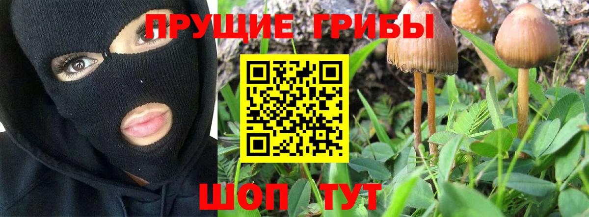 Галлюциногенные грибы ЛСД Большой Камень